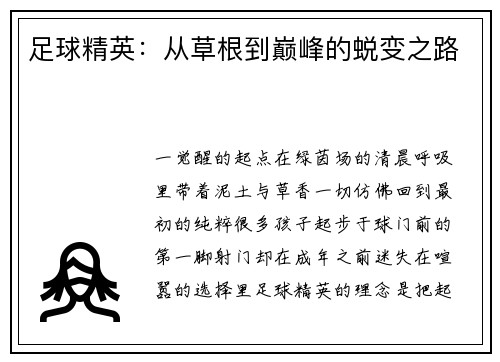 足球精英：从草根到巅峰的蜕变之路