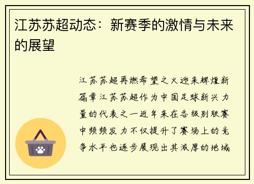 江苏苏超动态：新赛季的激情与未来的展望
